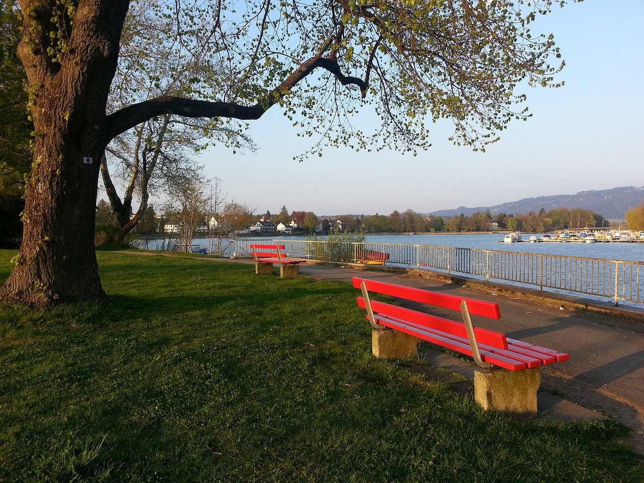 这种表现或 这种表现或