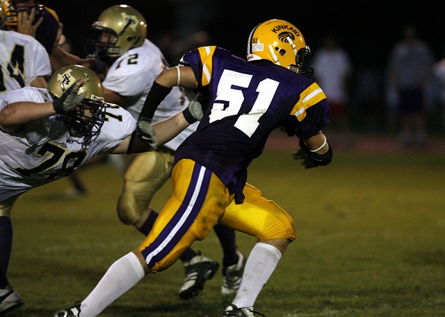 士队拿下了 士队拿下了