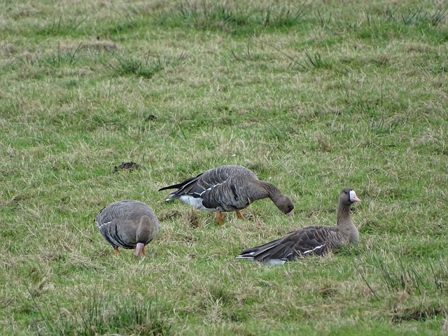 更在关键时 更在关键时