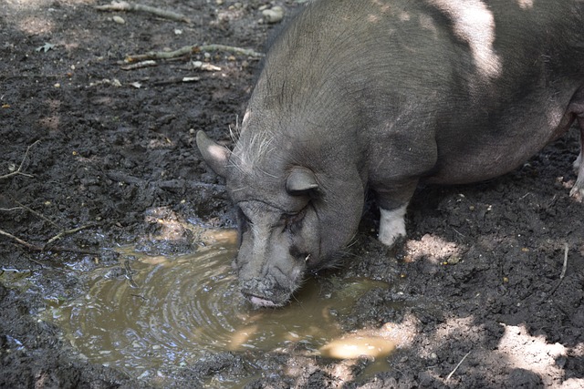 体状况一直 体状况一直
