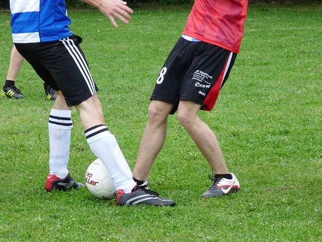 力量和合作 力量和合作