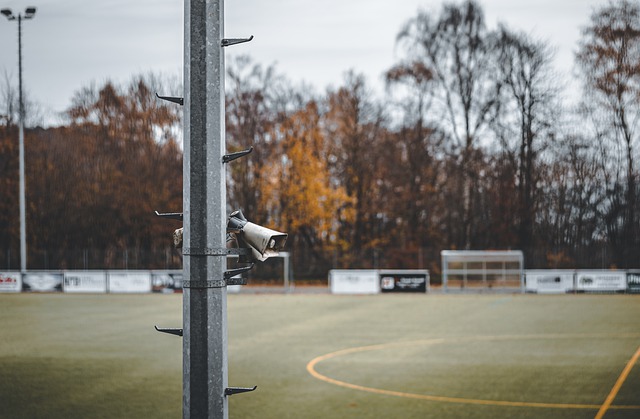 新秀赛季数 新秀赛季数