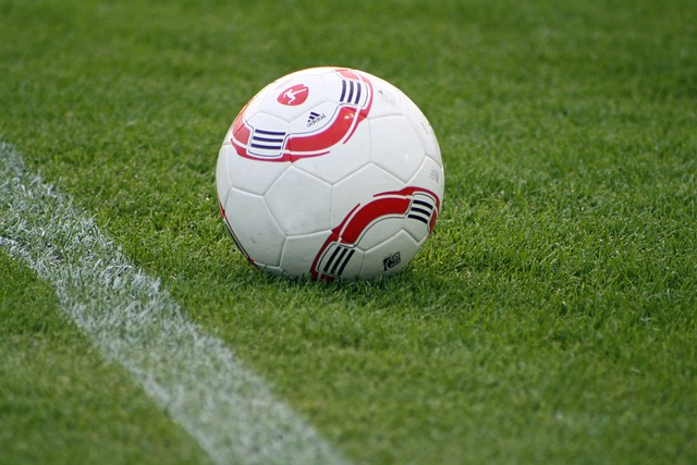 地板龟裂 地板龟裂